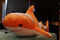 I found orangehaj_ Nemo is not in this picture_ What a confusing plush_ Sold to another vendor_ The maker of this shark had also some other uncommon plush items_