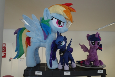 Nice Rainbow Dash plushie! One of the two biggest plushies on sale at GalaCon this year. I didn't buy it.