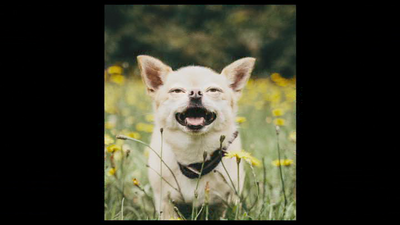 EverythingEverywhereAllAtOnce-52.png (image/png, 437683 B)