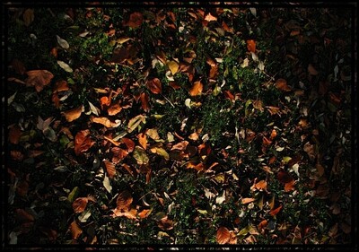 Bad Dürkheim-IMG_2299_b_759_r.JPG (image/jpeg, 175115 B)