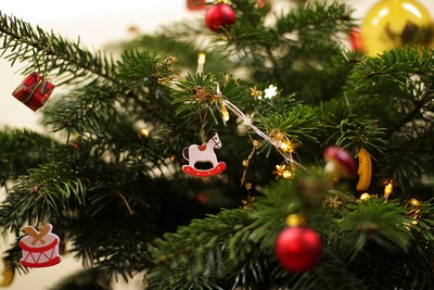 Bad Dürkheim-weihnachtsbaumpferd.JPG (image/jpeg, 599202 B)