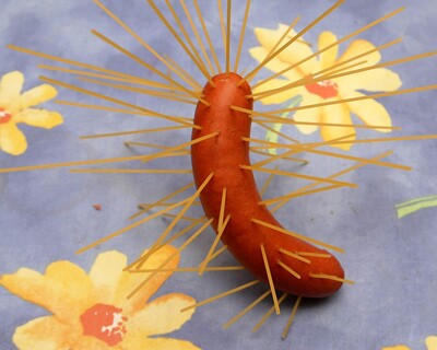 Food-nudelwurst2_1_20091216_1287860675_0.jpg (image/jpeg, 325822 B)