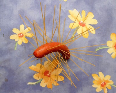 Food-nudelwurst_2_20091216_1856373329.jpg (image/jpeg, 405358 B)