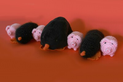 Häkelschwein-19201231.jpg (image/jpeg, 254333 B)