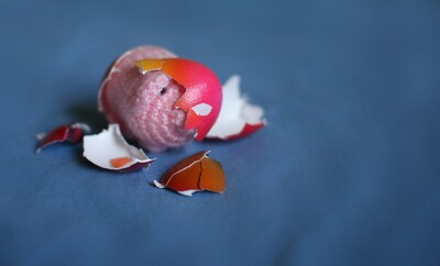 Häkelschwein-IMG_1005b.JPG (image/jpeg, 561808 B)