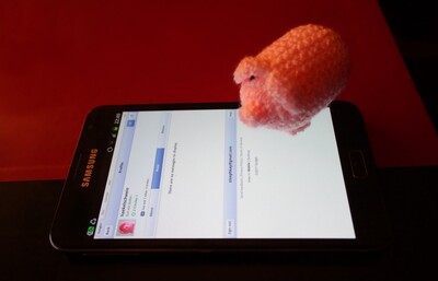 Häkelschwein-IMG_6868.JPG (image/jpeg, 153764 B)