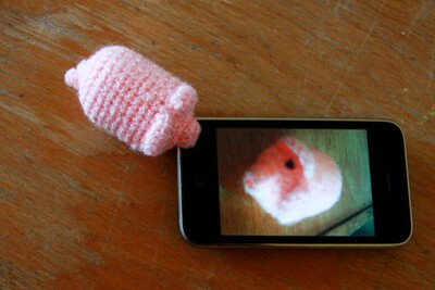 Häkelschwein-IMG_7462_b.JPG (image/jpeg, 1277883 B)