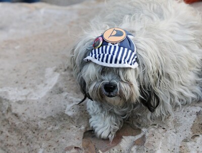 Hambacher Fest 2.0 - 2011-IMG_0197b.JPG (image/jpeg, 607944 B)