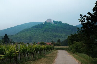 Hambacher Fest 2.012-IMG_9499.JPG (image/jpeg, 513308 B)