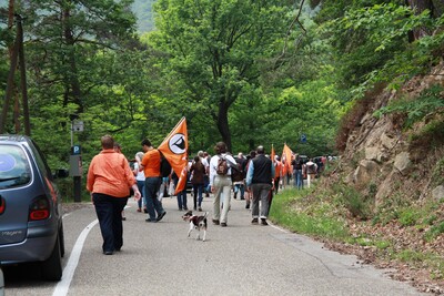 Hambacher Fest 2.012-IMG_9723.JPG (image/jpeg, 1146195 B)