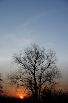 Landscapes-IMG_2046.b.jpg (image/jpeg, 2848666 B)