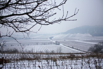 Landscapes-IMG_9316.b.JPG (image/jpeg, 816880 B)