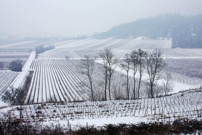 Landscapes-IMG_9320.b.JPG (image/jpeg, 1127671 B)