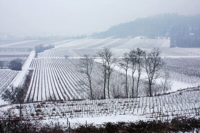 Landscapes-IMG_9320_b.JPG (image/jpeg, 4161473 B)