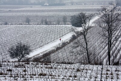 Landscapes-IMG_9352_b.JPG (image/jpeg, 5399671 B)