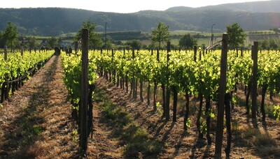 Landscapes-img_1268_b.jpg (image/jpeg, 854041 B)