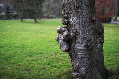 Random Nature Photos-IMG_0243.b.JPG (image/jpeg, 3228135 B)