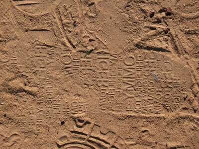 Random Nature Photos-IMG_5917_b_800.jpg (image/jpeg, 264225 B)