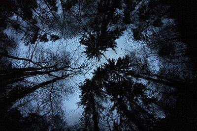 Random Nature Photos-IMG_8136b.JPG (image/jpeg, 1213455 B)